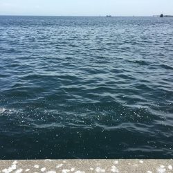 ポーアイ沖渋め